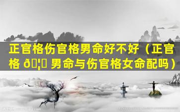 正官格伤官格男命好不好（正官格 🦆 男命与伤官格女命配吗）